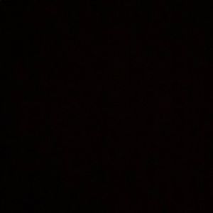 Meet your Posher, Owen